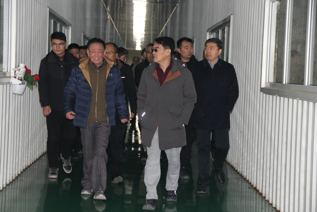 20250118，日照经开区党工委书记、管委会主任卢东磊到山东恒泰海洋生物科技有限公司调研